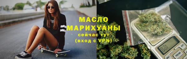прущая мука Вяземский