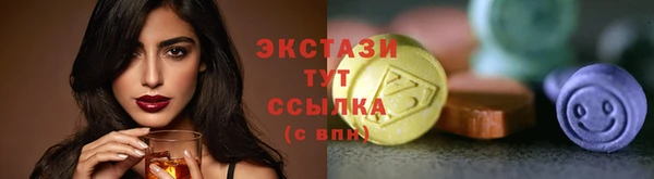 прущая мука Вяземский