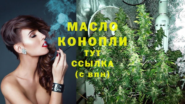 прущая мука Вяземский