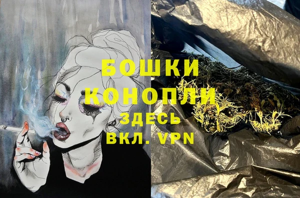 ГАЛЛЮЦИНОГЕННЫЕ ГРИБЫ Волосово