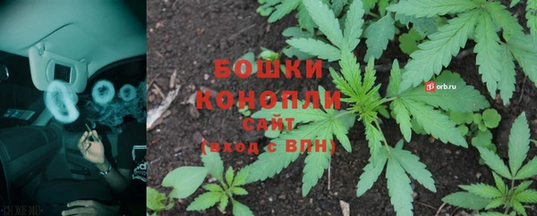 прущая мука Вяземский