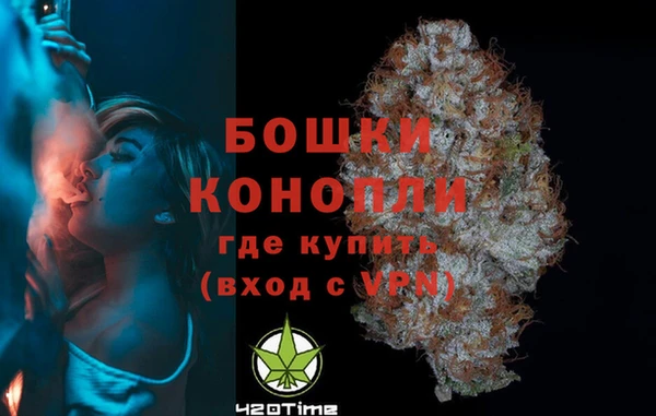 прущая мука Вяземский