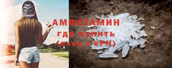прущая мука Вяземский