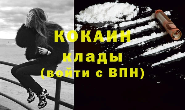прущая мука Вяземский