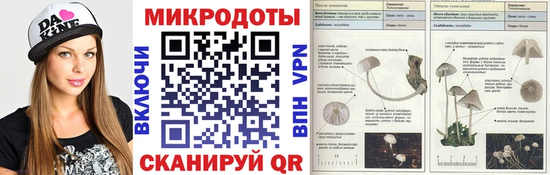 Галлюциногенные грибы Cubensis  Химки 